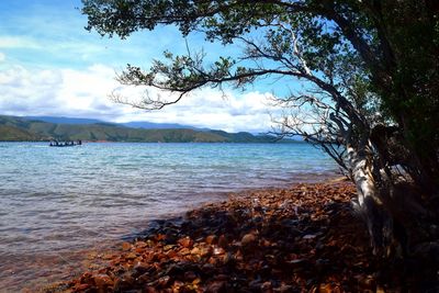 Scenic view of sea against sky