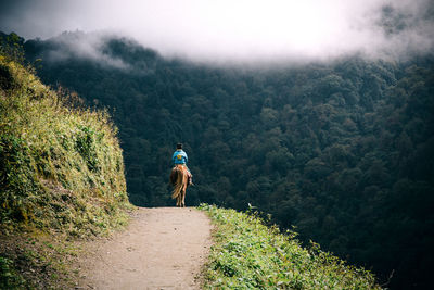 Woman walking on mountain in forest