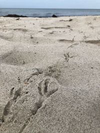 High angle view of footprints on sand at beach