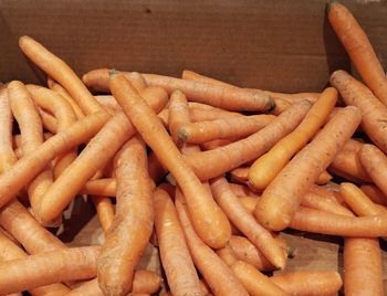 High angle view of carrots in container