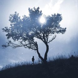 Silhouette tree on field against sky on sunny day