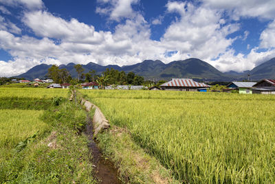 Scenic view of field against sky