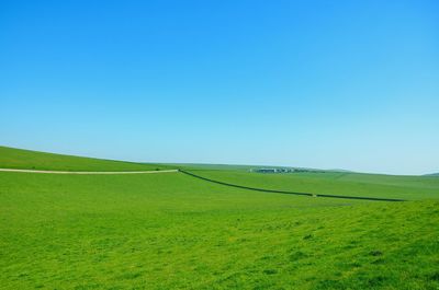 Scenic view of field against clear blue sky