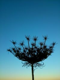 Low angle view of flowers against clear blue sky