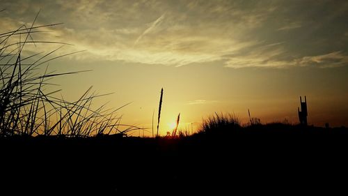 Silhouette plants on field against orange sky