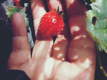 Close-up of hand holding strawberry