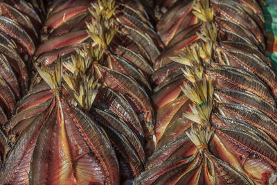 Full frame shot of palm tree