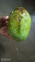 Close-up of hand holding apple
