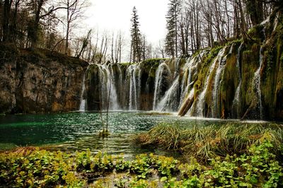 View of waterfall in forest