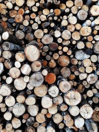 Full frame shot of logs in forest