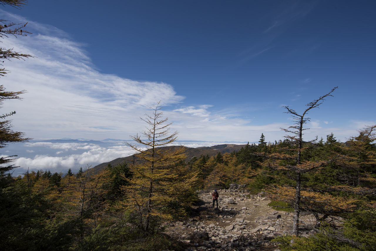 MAN ON MOUNTAIN AGAINST SKY