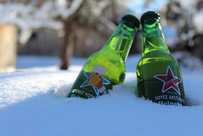 Close-up of bottles on snow