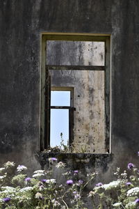 Window of old abandoned building