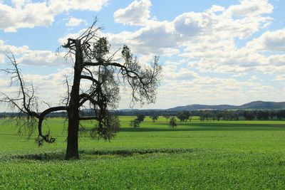 Scenic view of field against cloudy sky