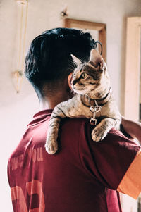 Rear view of cat at home