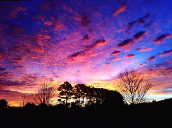 Silhouette bare trees on landscape against orange sky