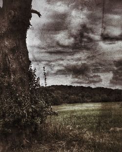 Scenic view of field against cloudy sky