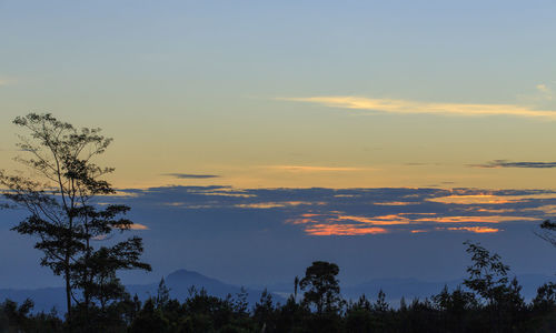 Scenic view of silhouette trees against sky during sunset