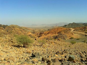 Scenic view of landscape against clear sky