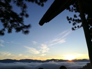 Low angle view of silhouette tree against sky