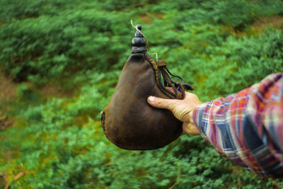 Close-up of hand holding turtle