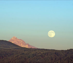 Scenic view of landscape against clear sky