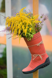 Close-up of yellow flowers on tree