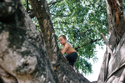 Low angle view of shirtless boy climbing tree at park