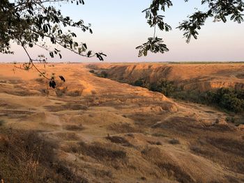 View of israeli desert at sunset 