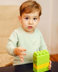 Portrait of cute baby boy playing with toy at home