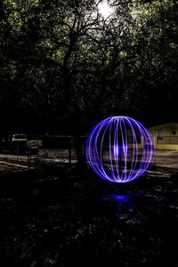 Illuminated trees at night