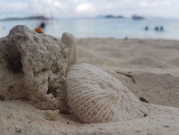 Close-up of rocks on beach against sky