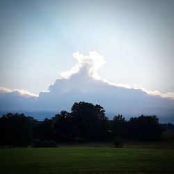 Scenic view of field against sky