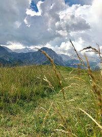 Scenic view of field against cloudy sky