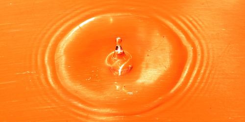 Close-up of orange in water