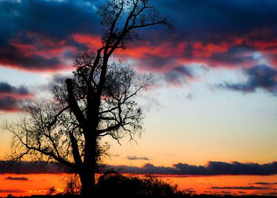 Silhouette of trees against cloudy sky