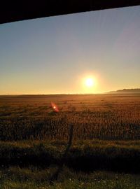 Sunset over grassy field