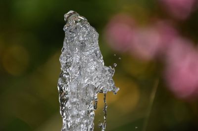 Close-up of ice crystals against blurred background