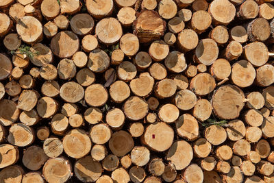 Stack of logs