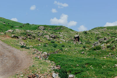 Scenic view of green landscape against sky