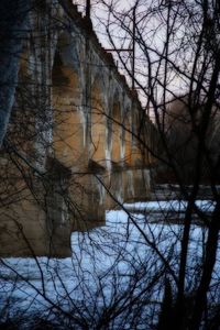 Reflection of bare trees in water