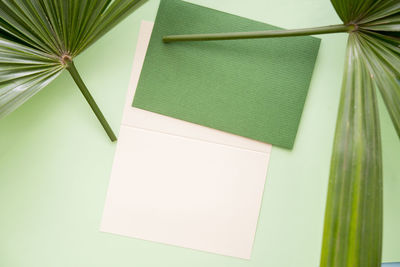 Close-up of papers and leaf