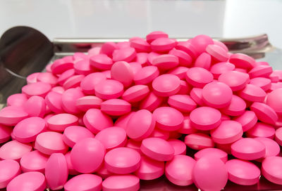 Close-up of pink flowers