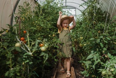 A little girl in a straw hat is picking tomatoes in a greenhouse. harvest concept.