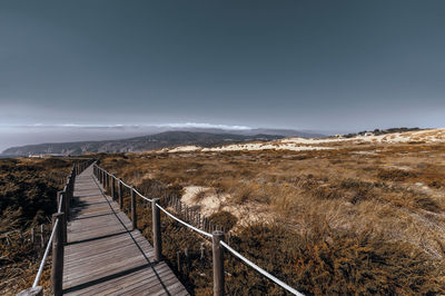 Empty boardwalk by landscape