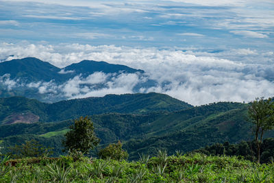 Scenic view of landscape against sky