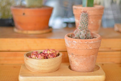 Close-up of potted plant on table