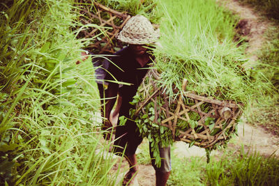 Woman working in basket on field