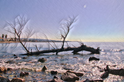 Rocks on beach against sky