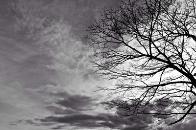 Low angle view of bare tree against sky